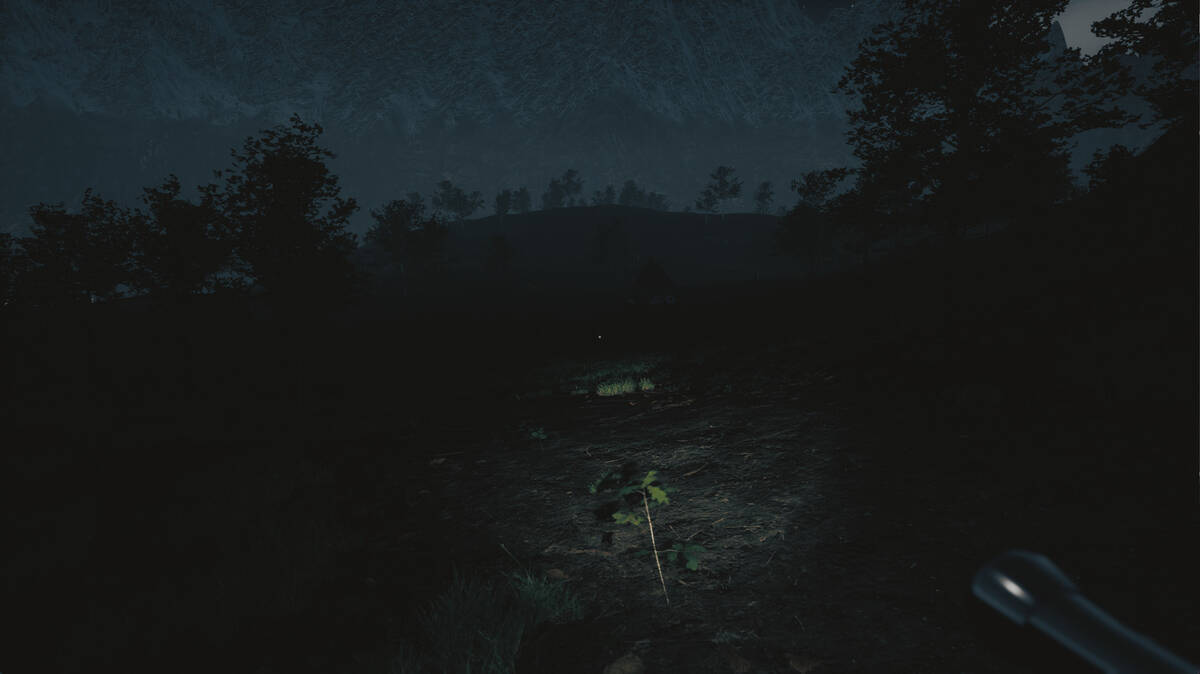 Скриншот 5 к игре Tales From Hoia Baciu Forest