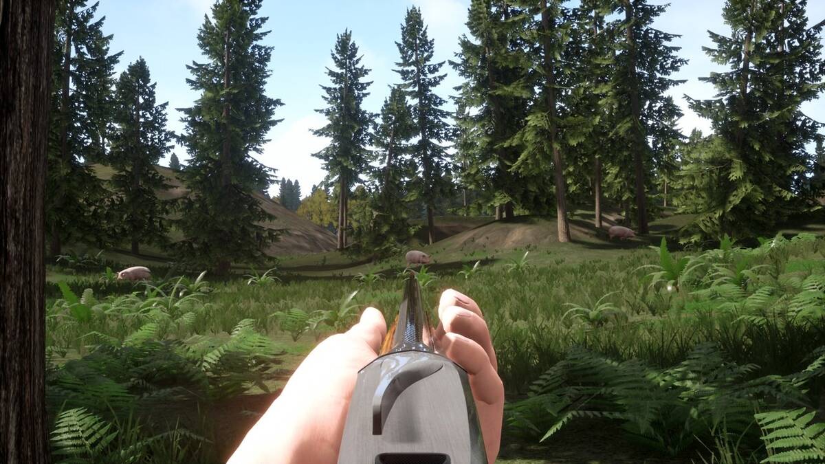 Скриншот 5 к игре Russian Hunter