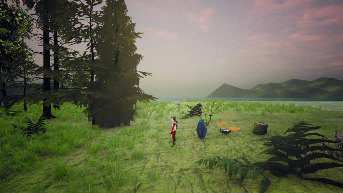 Скриншот 5 к игре Lost Boy : Lost Island