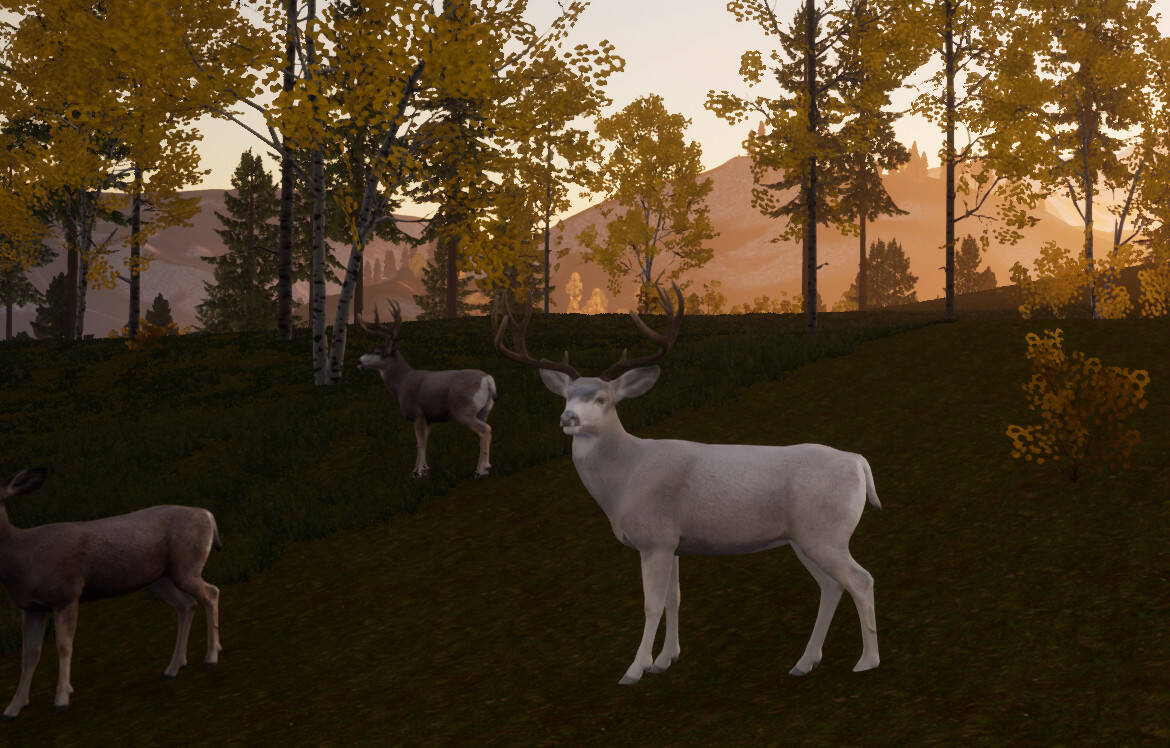 Скриншот 5 к игре Wilderness Survival: The Conservationist