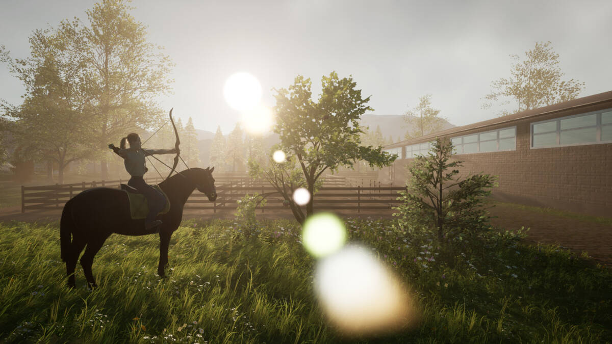 Скриншот 6 к игре Unbridled: That Horse Game