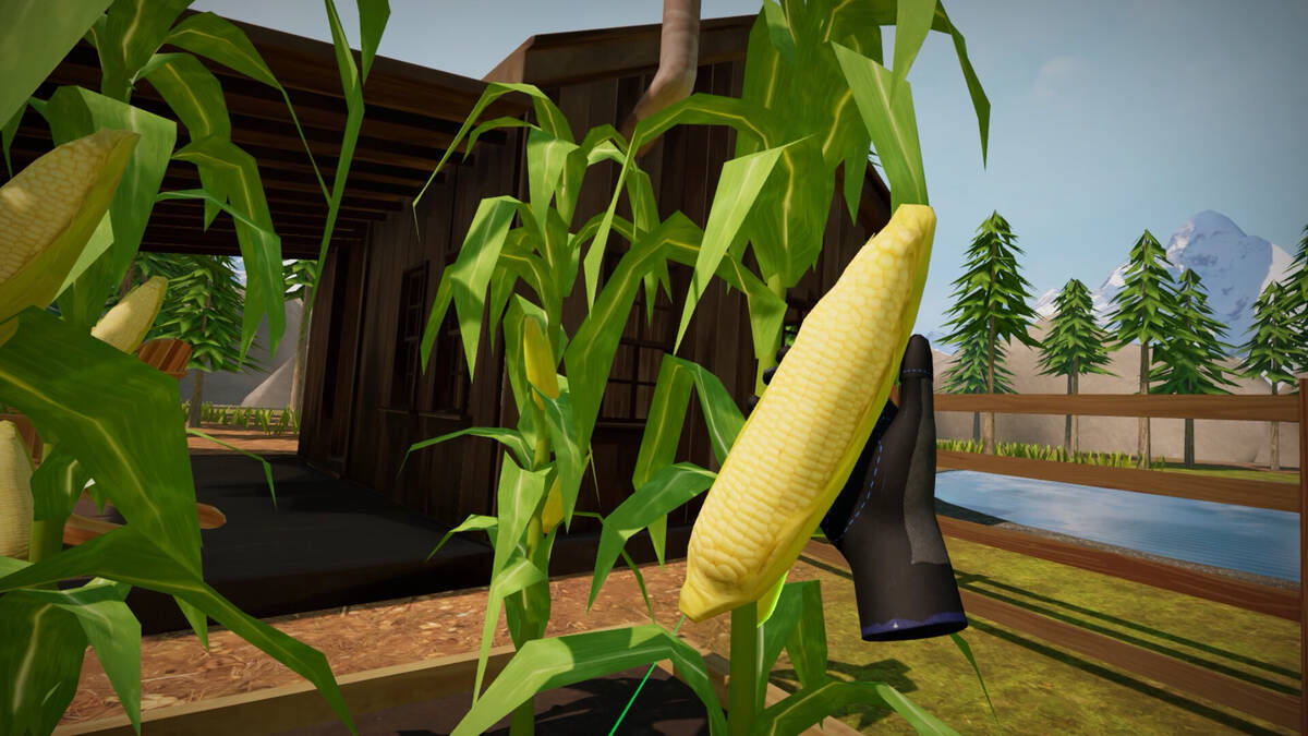 Скриншот 5 к игре Morels: Homestead