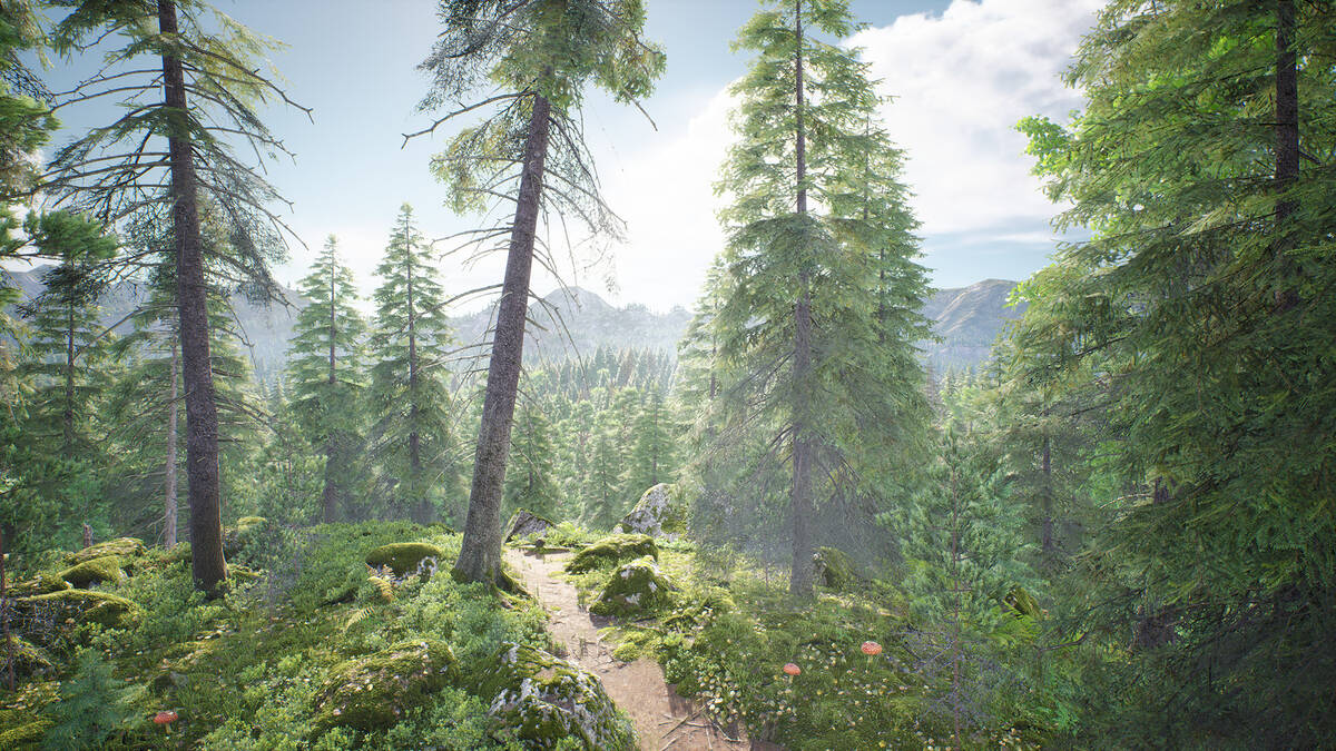 Скриншот 5 к игре Out of the Woods
