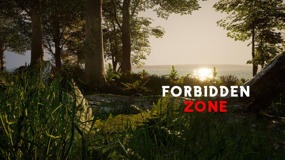 Скриншот 5 к игре Forbidden zone