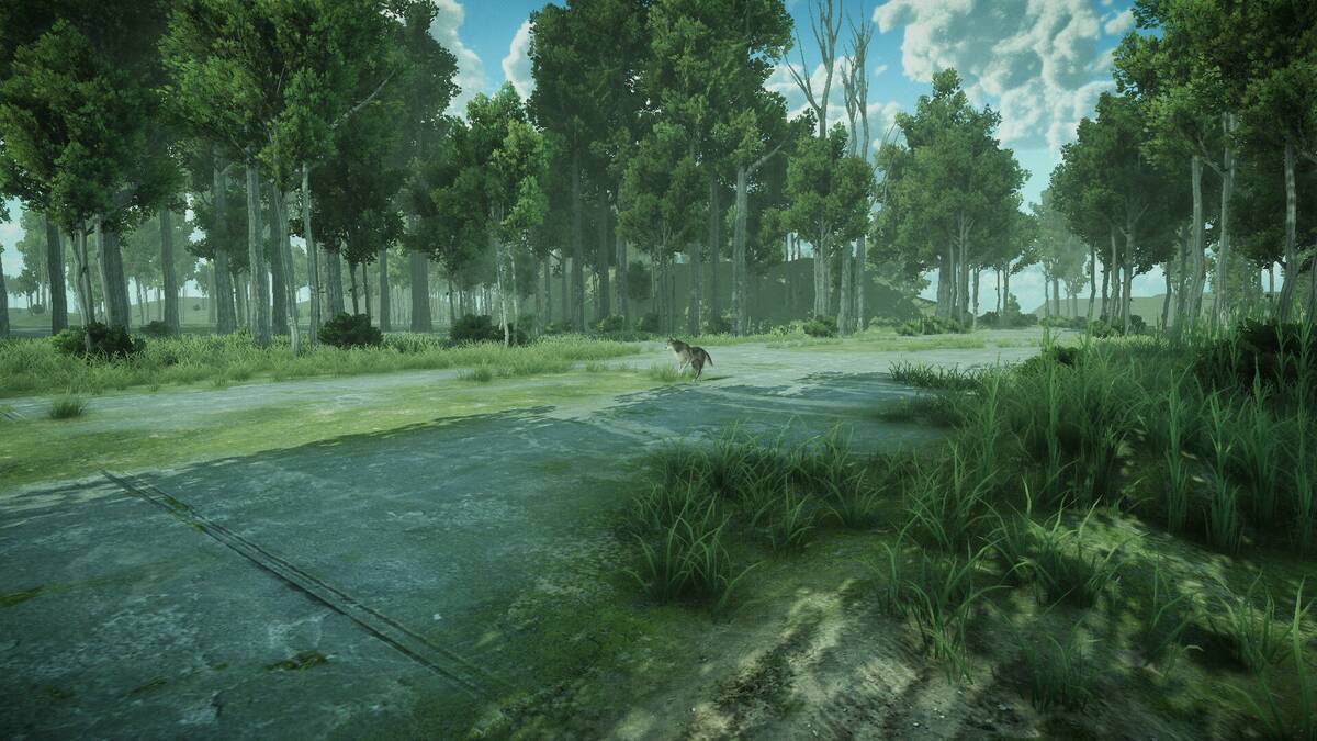 Скриншот 7 к игре Forest Spring
