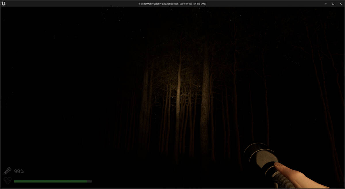 Скриншот 8 к игре Park Ranger: Lost In The Woods