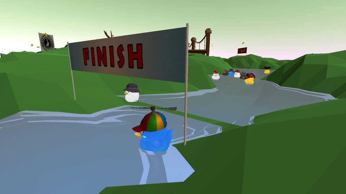 Скриншот 6 к игре Duck Race
