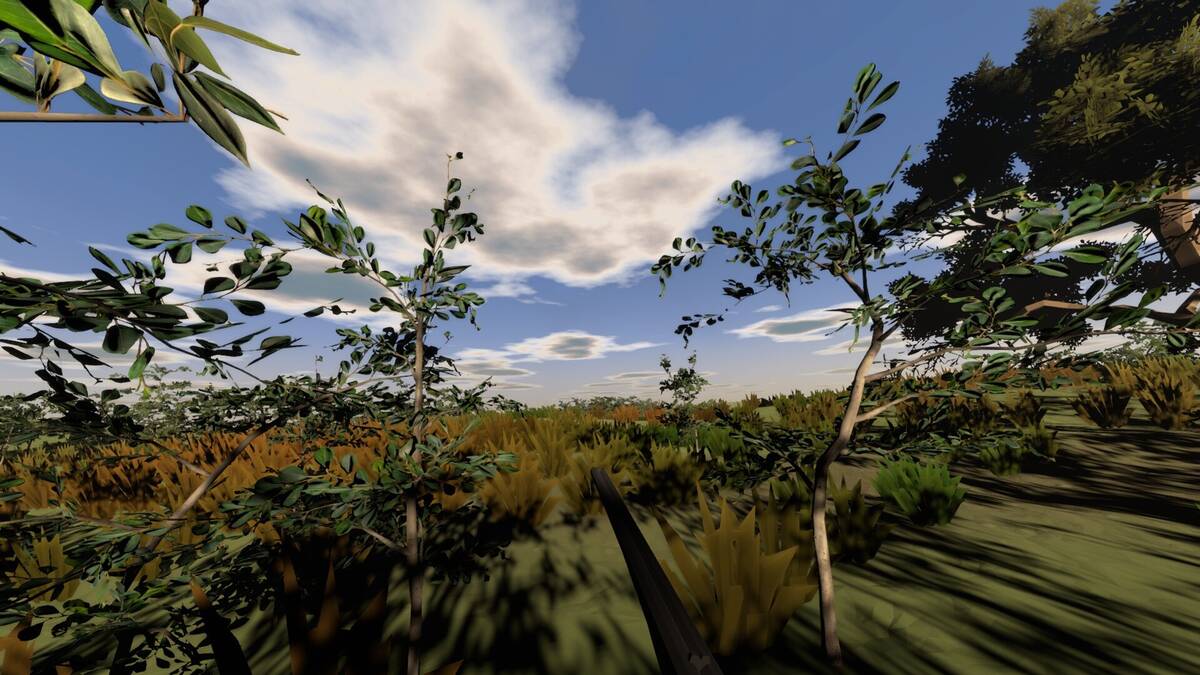 Скриншот 6 к игре Hunting Life VR: Dove Season