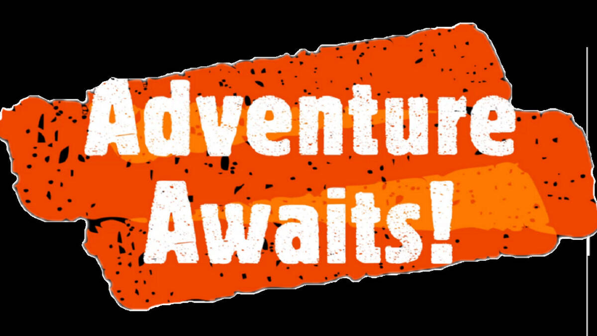Скриншот 6 к игре Adventure Awaits