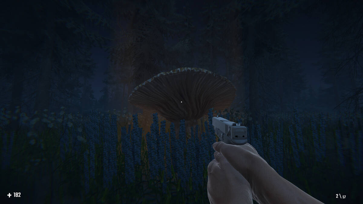 Скриншот 7 к игре MUSHROOMAN