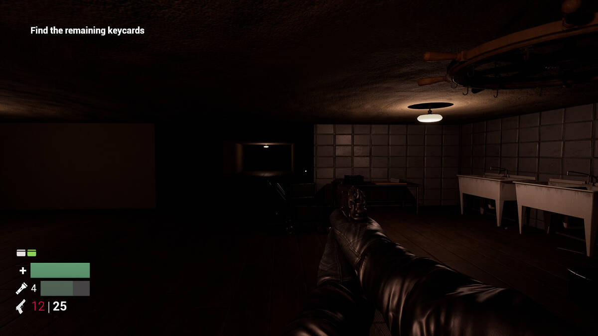 Скриншот 5 к игре Basement of Hellish
