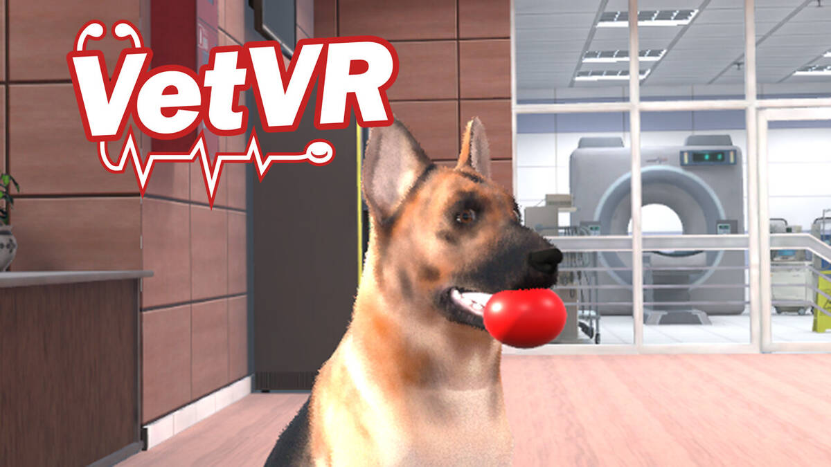 Скриншот 5 к игре VetVR Veterinary Simulator