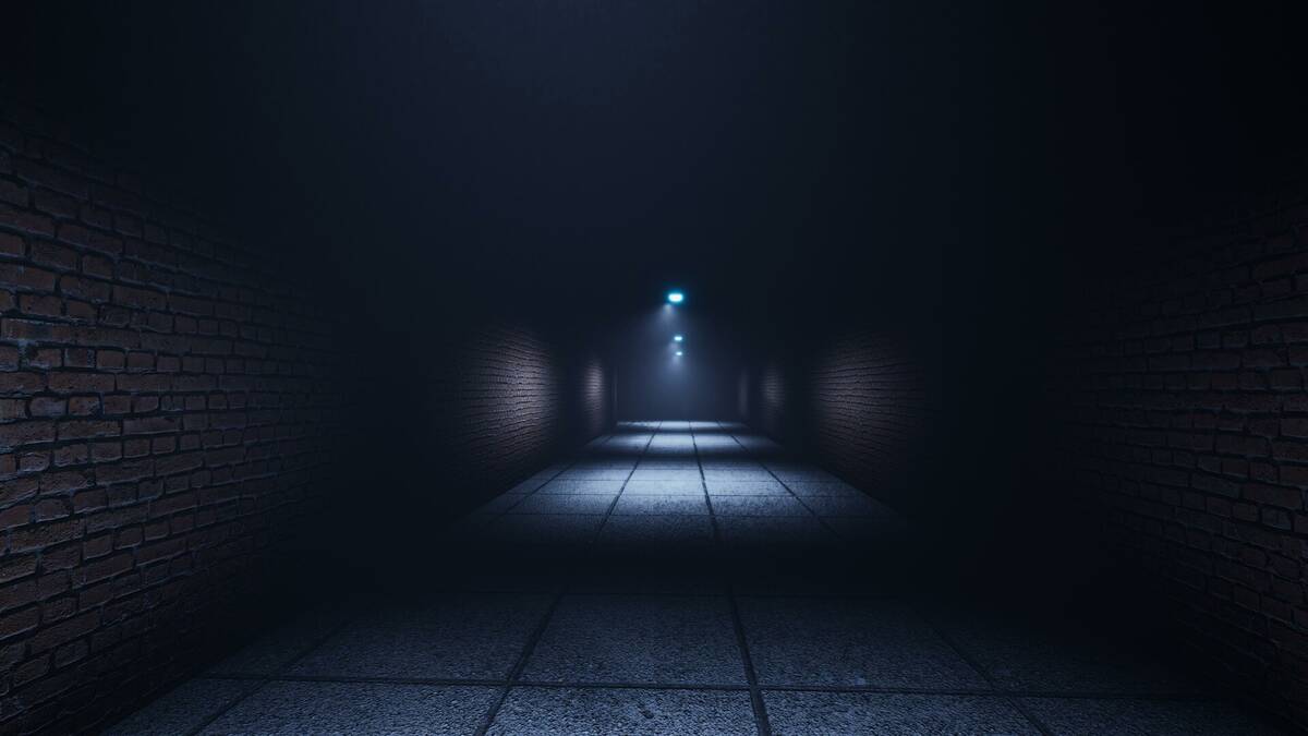 Скриншот 5 к игре Ferus-The dark abyss