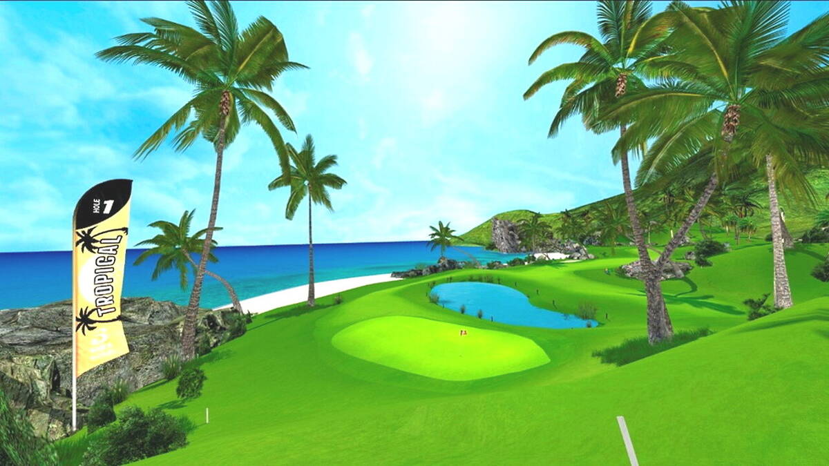 Скриншот 7 к игре Golf 5 eClub