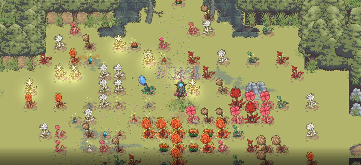 FloraMancer : Seeds and Spells on Steam