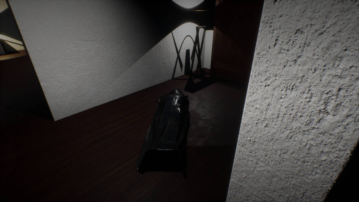Скриншот 5 к игре The Secret Door