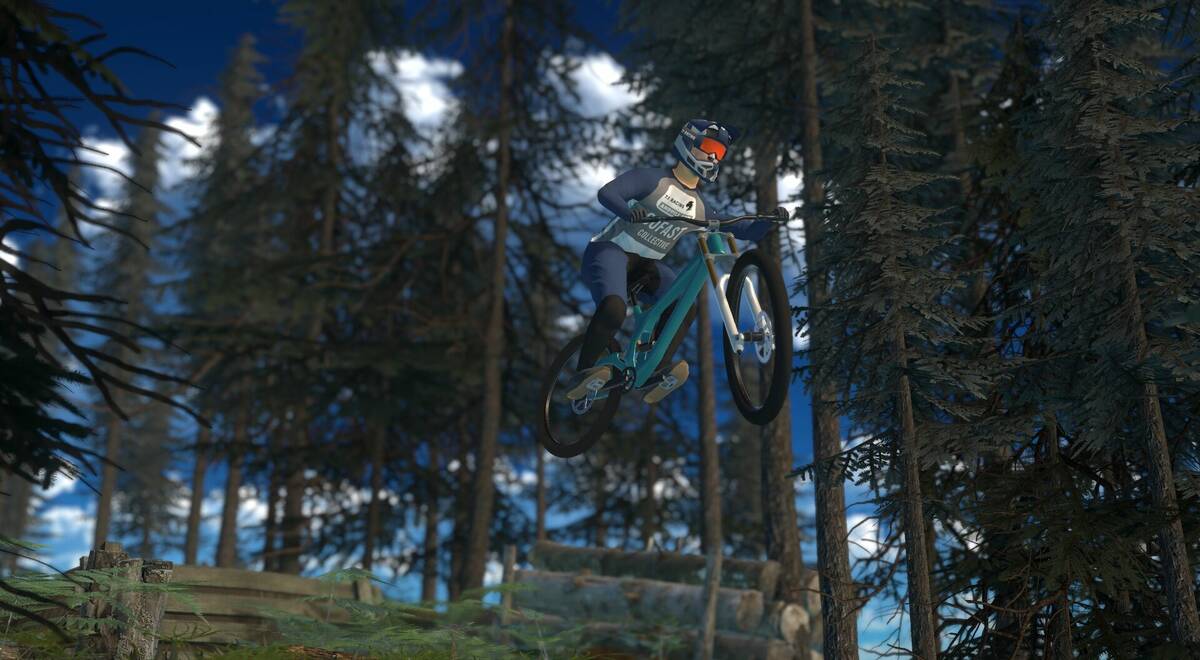 Скриншот 5 к игре Downhill Pro Racer