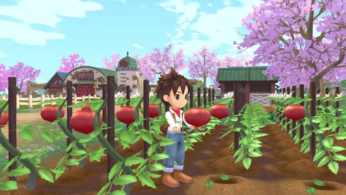 Скриншот 7 к игре STORY OF SEASONS: A Wonderful Life