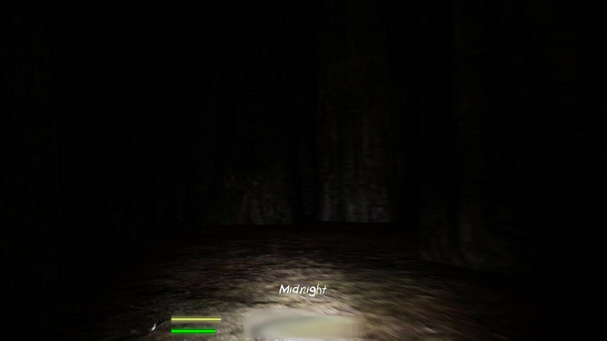 Скриншот 5 к игре Labyrinthian: Lost 'Til Dawn