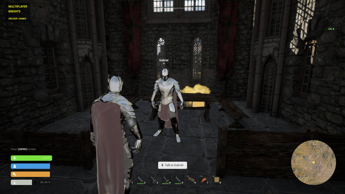 Скриншот 6 к игре MULTIPLAYER KNIGHTS