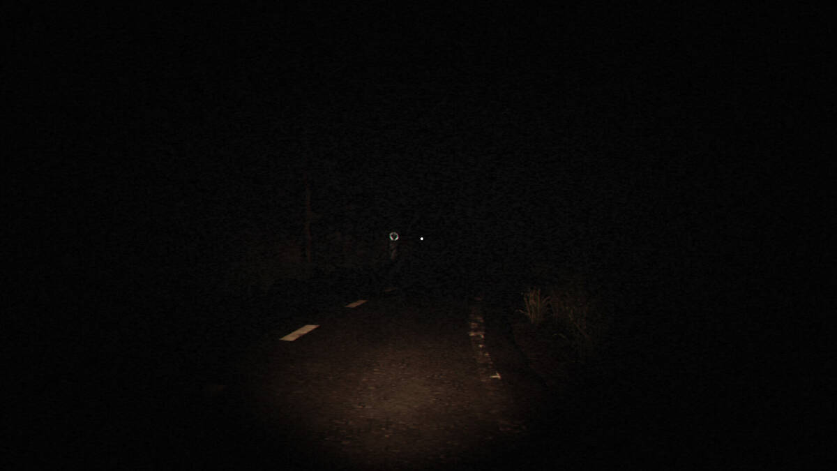 Скриншот 5 к игре OWLMAN