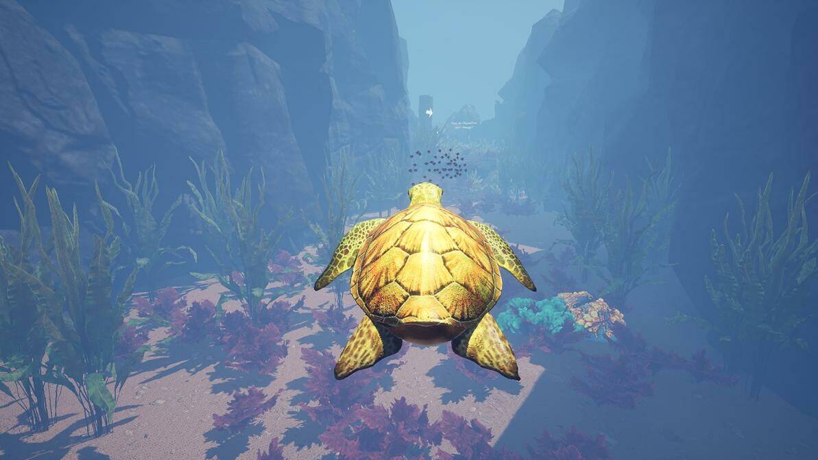Скриншот 5 к игре Turtle Racer
