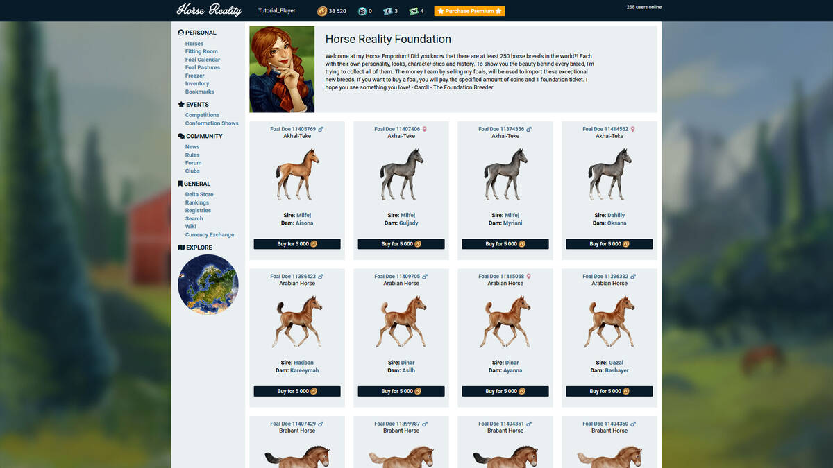 Скриншот 5 к игре Horse Reality