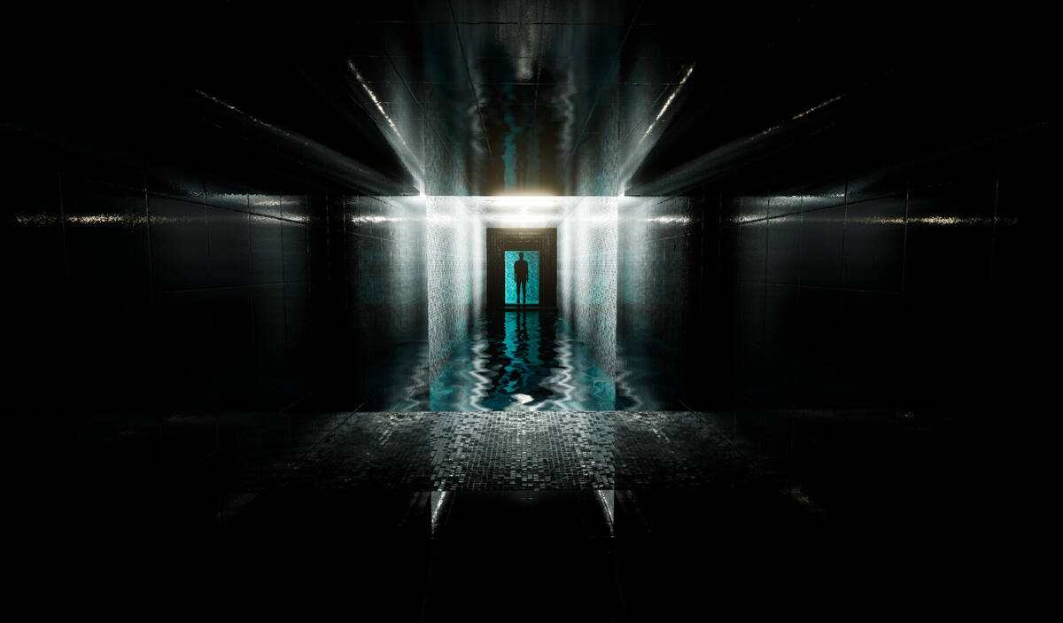 Скриншот 5 к игре Project Liminal Redux