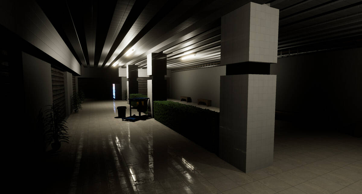 Скриншот 6 к игре Project Liminal Redux