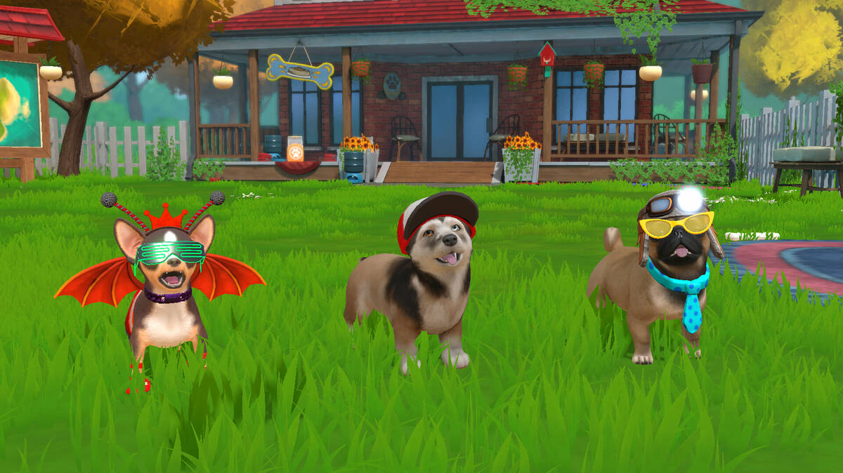 Скриншот 7 к игре Little Friends: Puppy Island