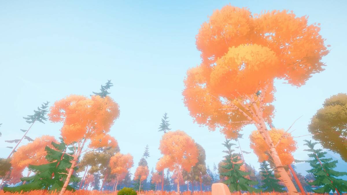 Скриншот 5 к игре Woodland Hike