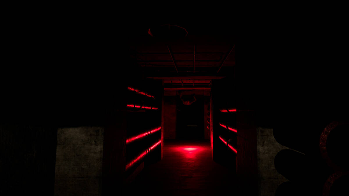Скриншот 5 к игре Backrooms Project: The lost file