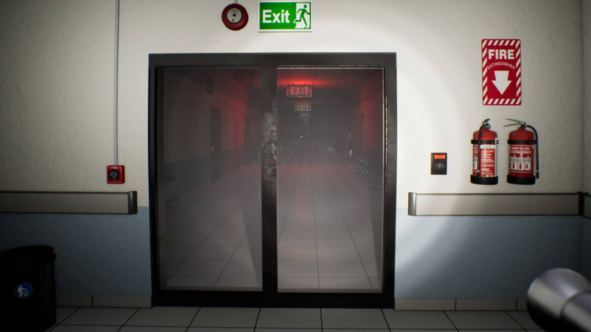 Скриншот 6 к игре Backrooms Project: The lost file