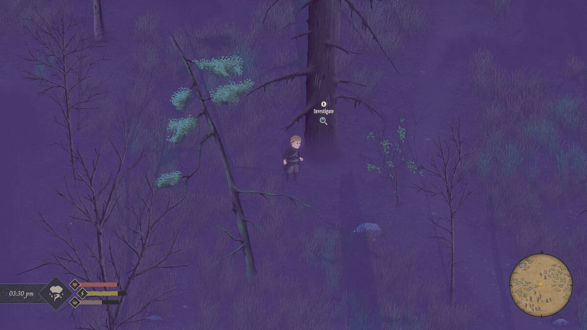Скриншот 5 к игре Mirthwood
