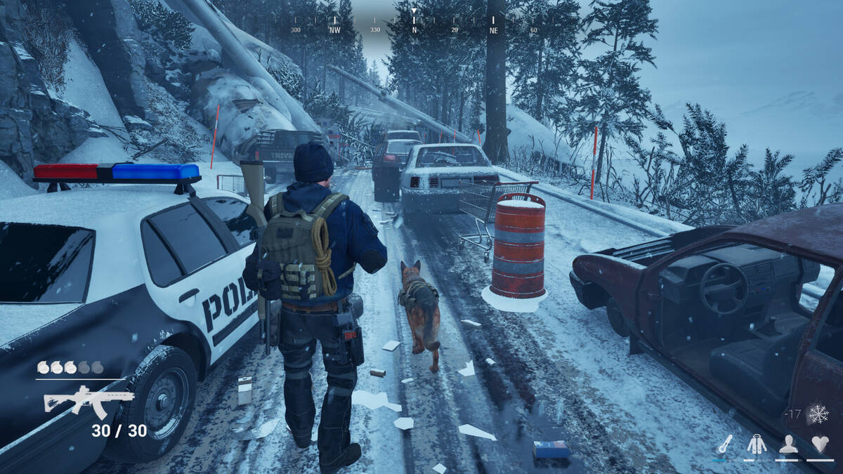 Скриншот 5 к игре POSTFROST
