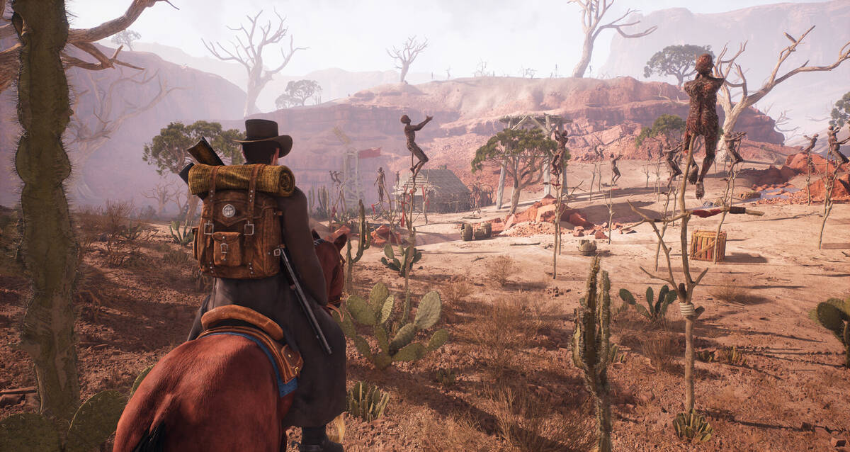 Скриншот 5 к игре Western Rye