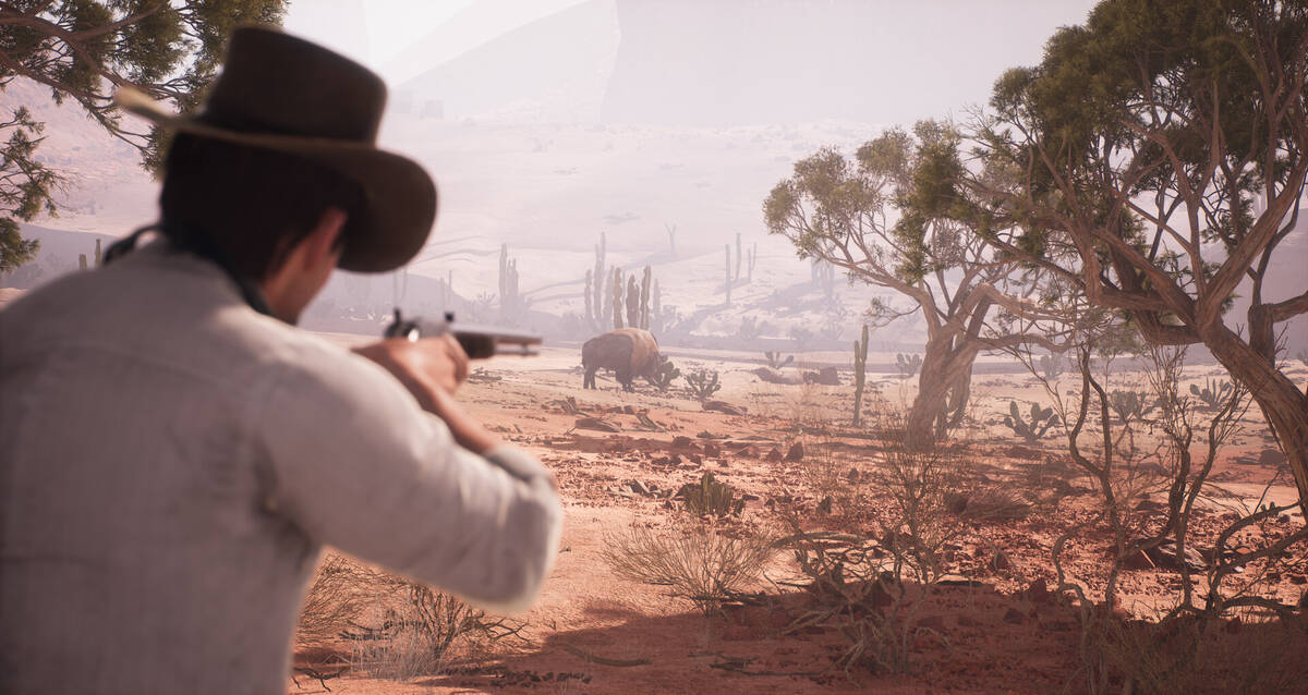 Скриншот 6 к игре Western Rye