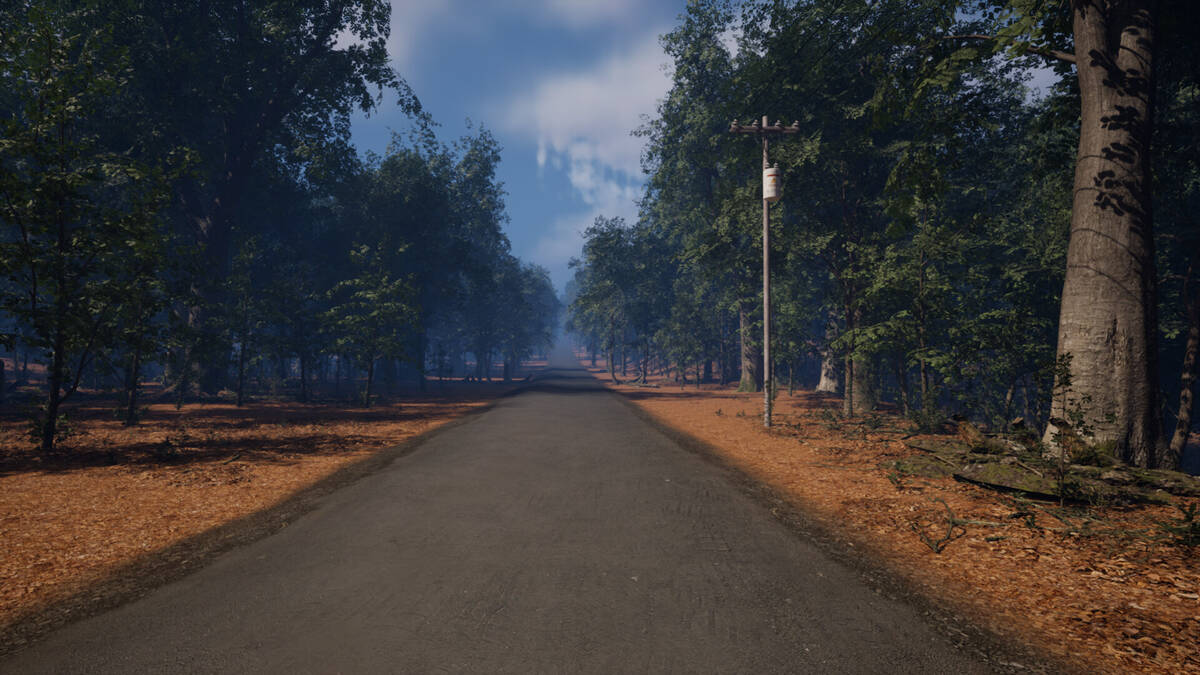 Скриншот 6 к игре Cecil Hollow