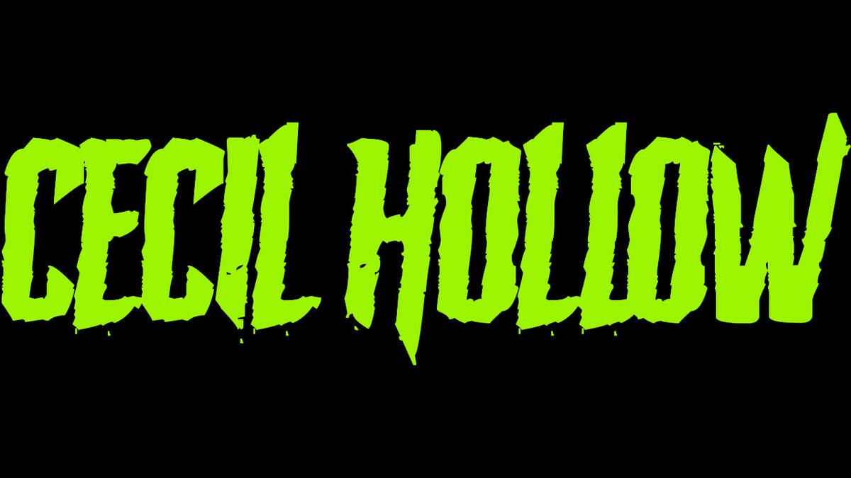 Скриншот 7 к игре Cecil Hollow