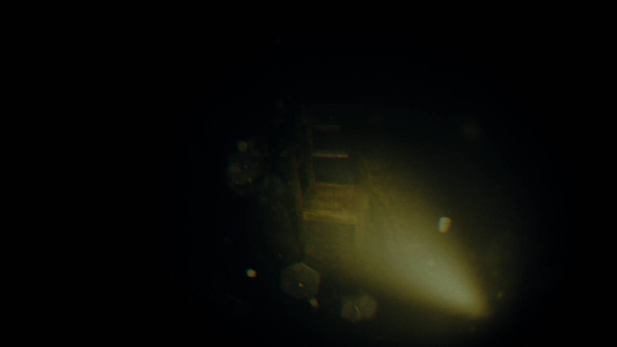 Скриншот 8 к игре REC: Beyond The Lens