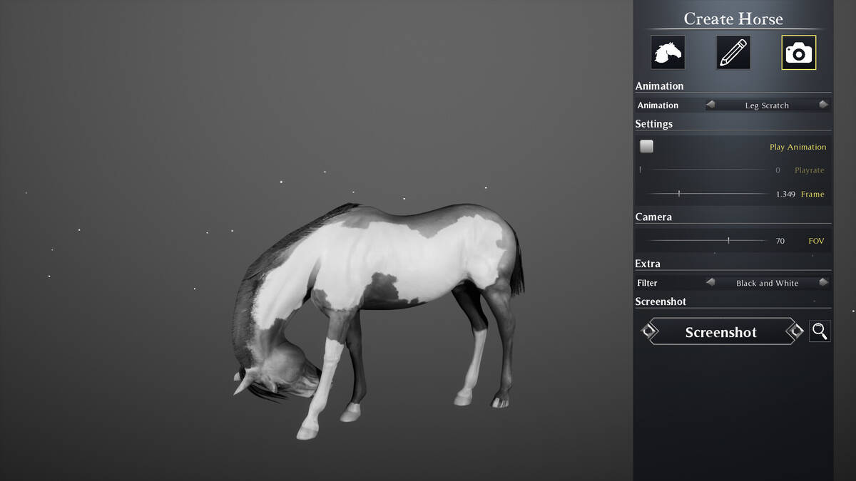 Скриншот 5 к игре Unbridled: Horse Designer