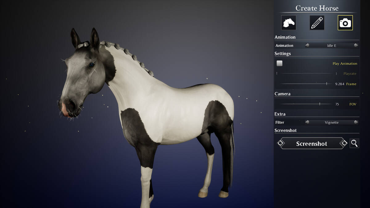 Скриншот 7 к игре Unbridled: Horse Designer