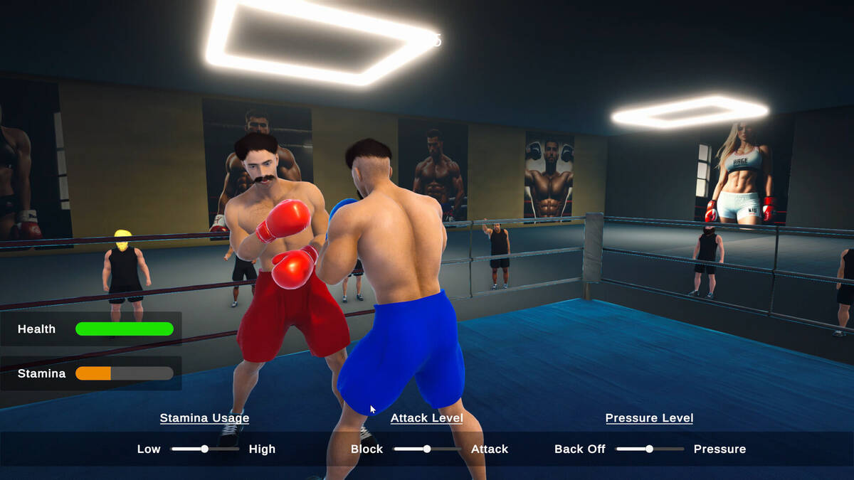 Скриншот 6 к игре Boxing Simulator