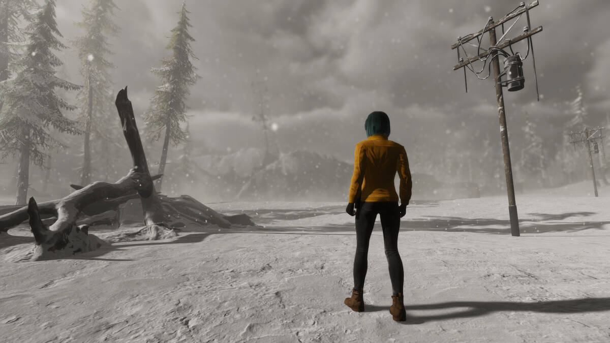Скриншот 5 к игре Under The Snow