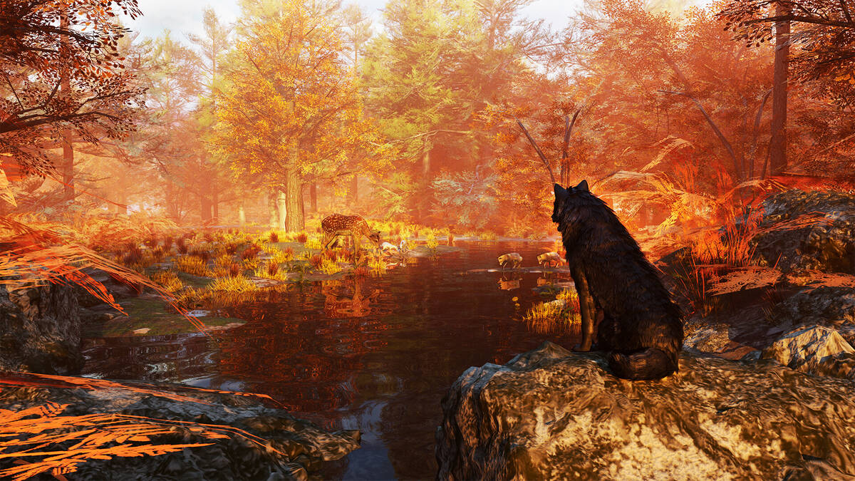 Скриншот 5 к игре Wolf Simulator RPG
