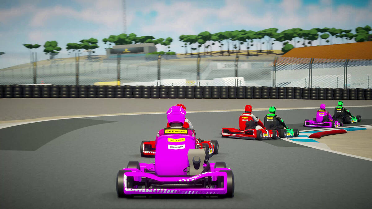 Скриншот 5 к игре Kart Life