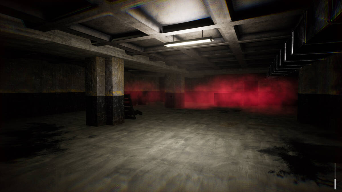 Скриншот 5 к игре Backrooms Doors