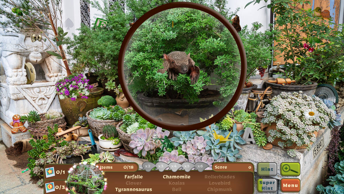 Скриншот 6 к игре Nature Escapes 4