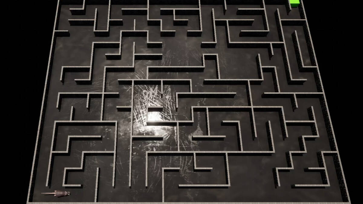 Скриншот 5 к игре Deep Maze