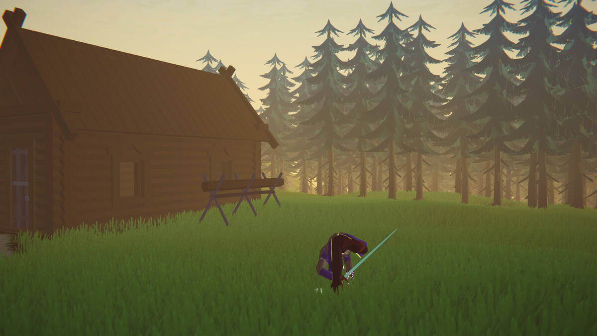 Скриншот 5 к игре Sword of the Cat: Lost Hope